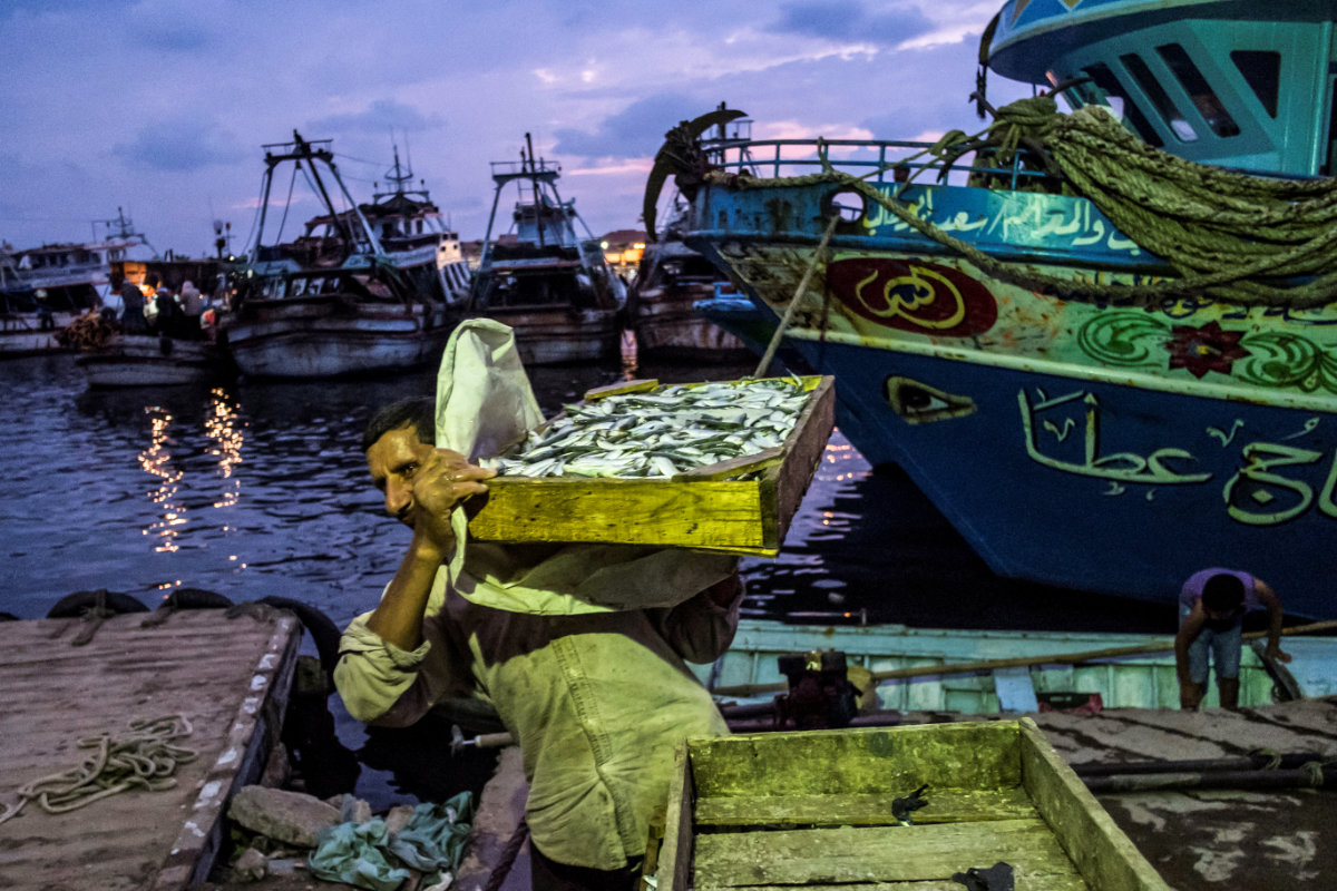 how-ai-is-advancing-the-middle-east’s-goal-of-sustainable-fishing